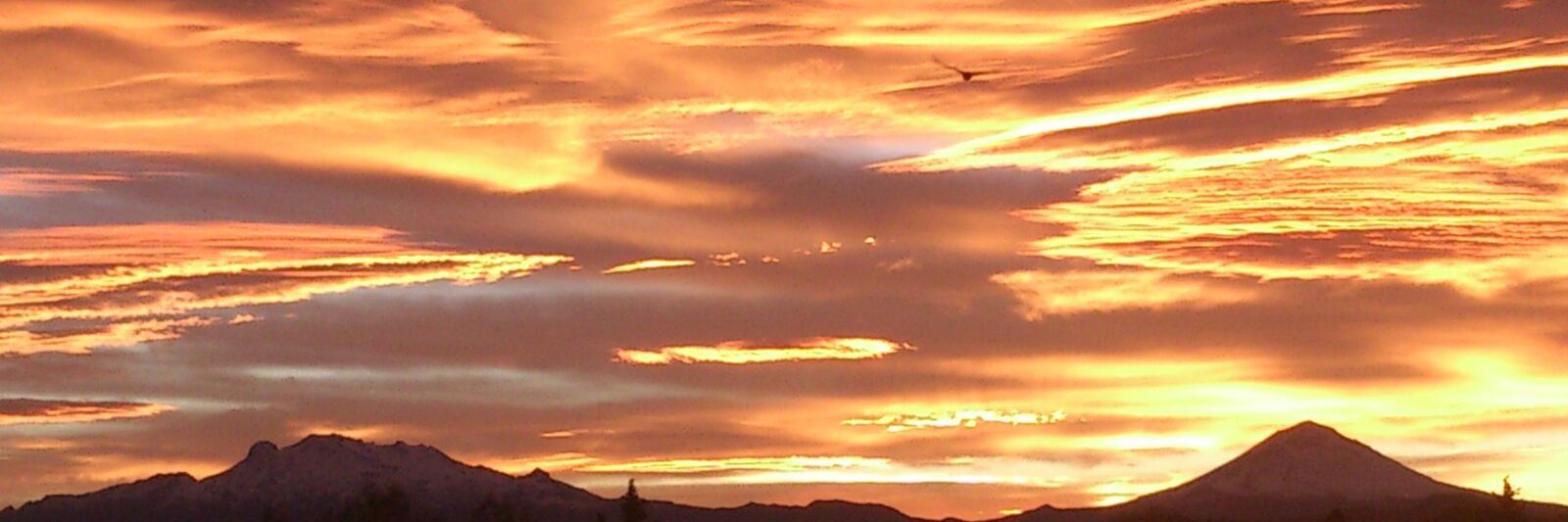joelsotelo06's profile banner image