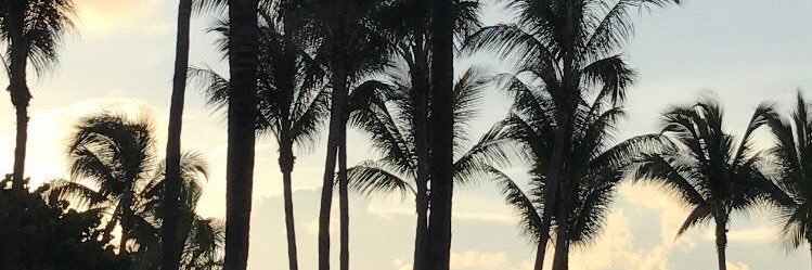 ryooooo1229's profile banner image