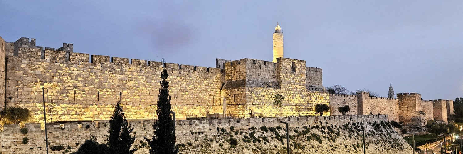 Amb. Yacov Livne 🇮🇱 banner