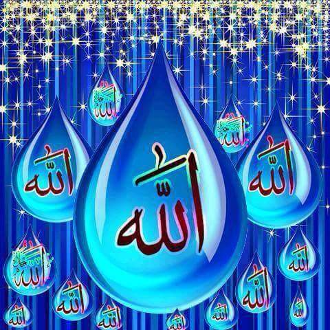 BiROL_EMEL's profile banner image
