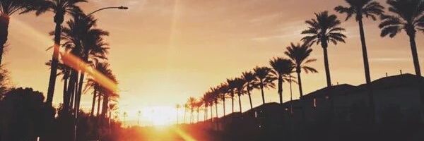 rpavectroye's profile banner image