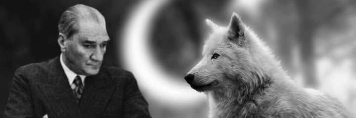 bugratr81's profile banner image