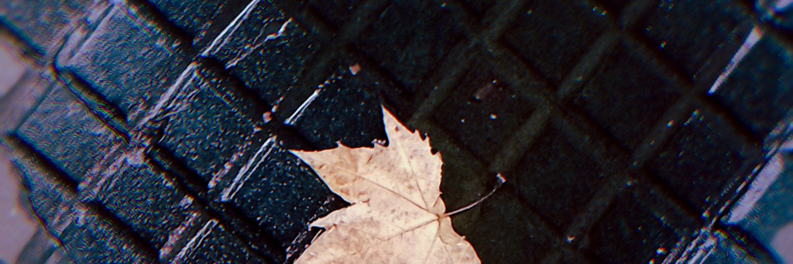 MagaliLm's profile banner image