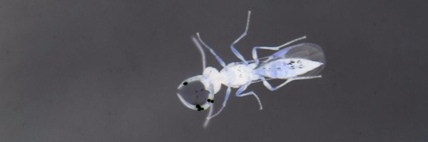 AlejandroTena3 Profile Banner