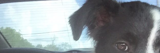 MMTambunga's profile banner image