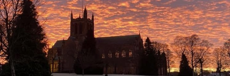 WingfieldClaire's profile banner image
