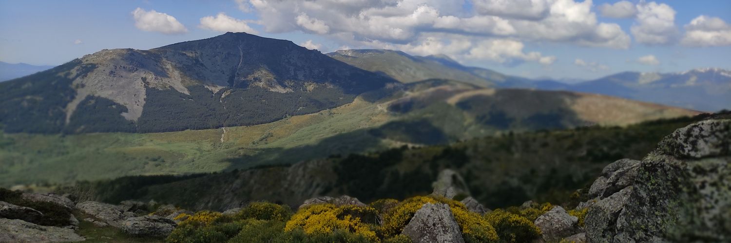 Javi🌾 banner