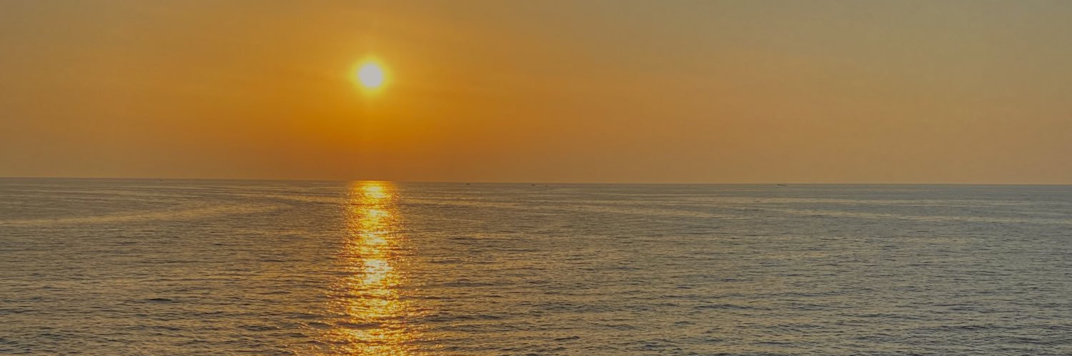 auroracioffi's profile banner image