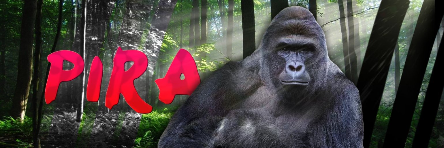Piraaaatje's profile banner image