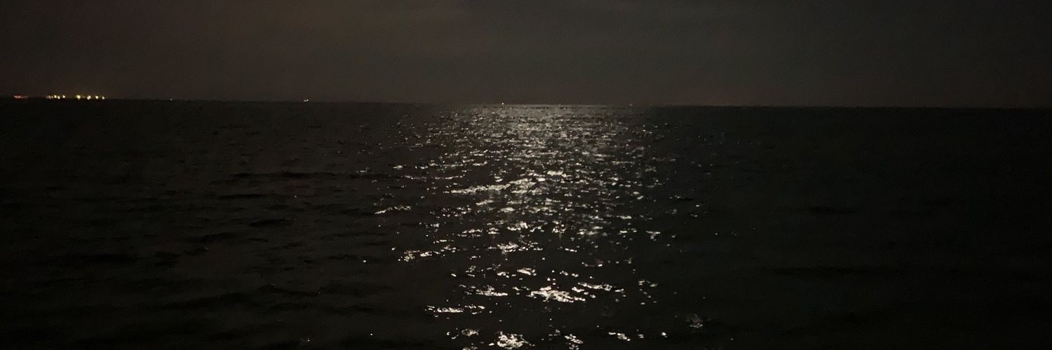 rawabi1289's profile banner image