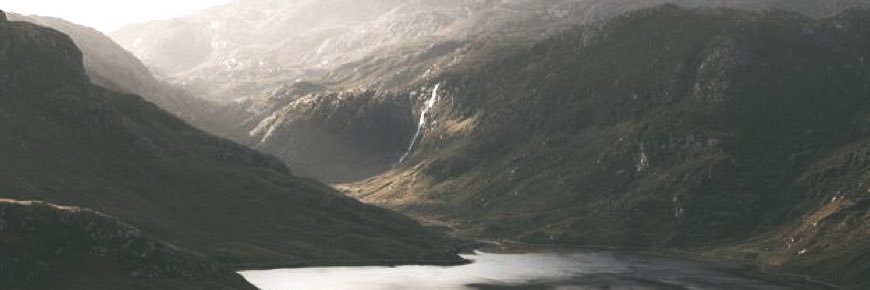Wznjong's profile banner image