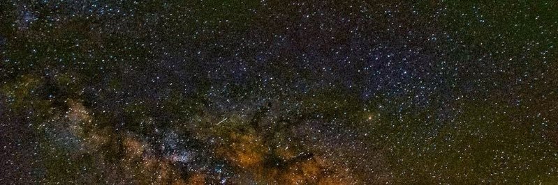 Nivedita Balu banner