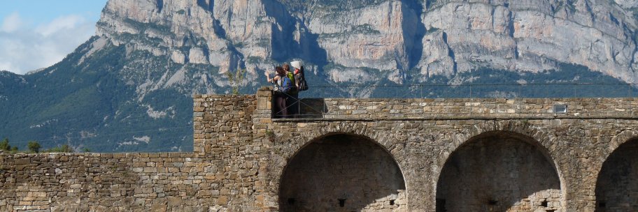 Tony Newman-Sanders banner