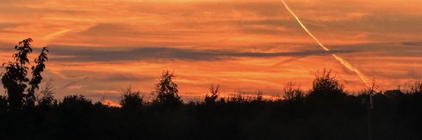 LeadingEwe Profile Banner