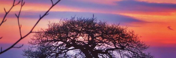 Carole_XLIX Profile Banner