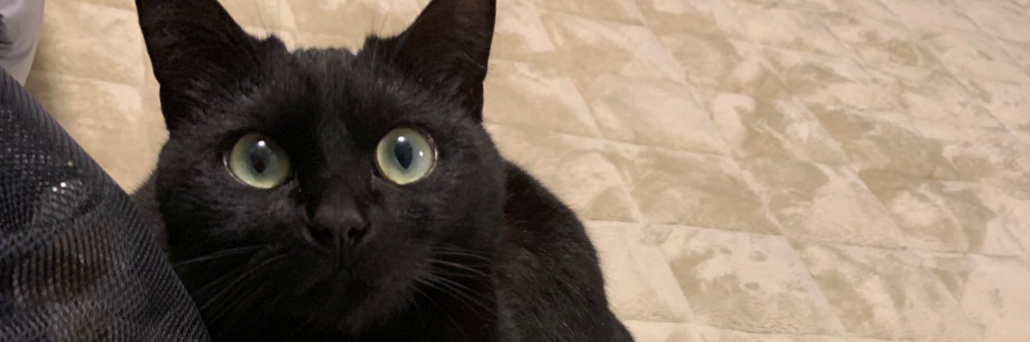 ててるん@ふたけ36 D12a banner