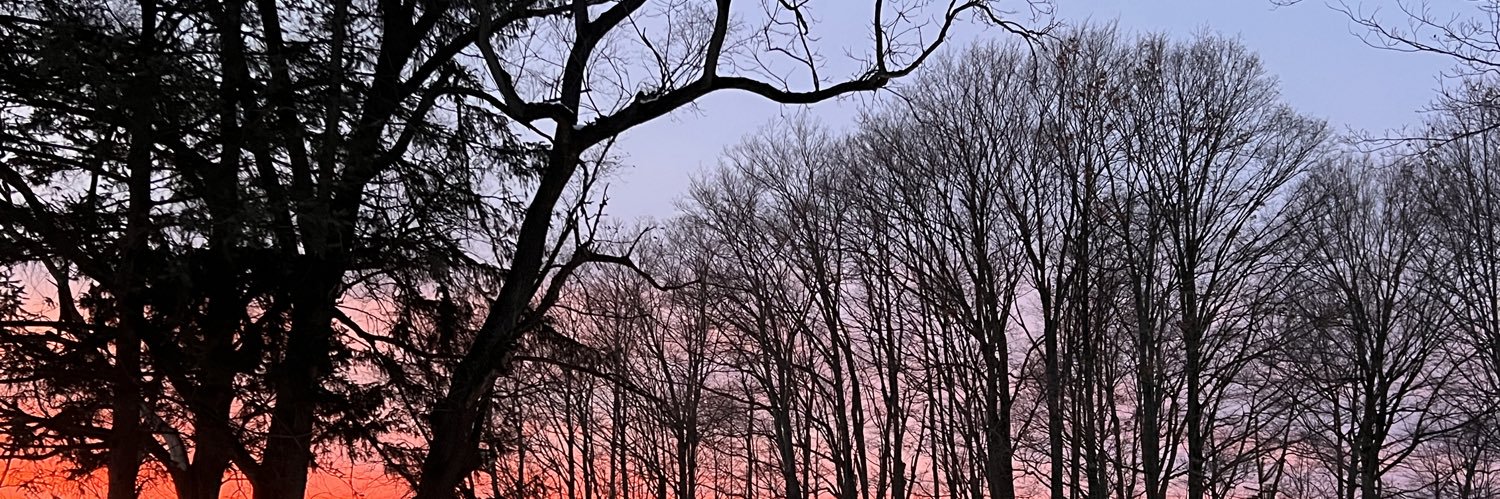 clark_merry's profile banner image