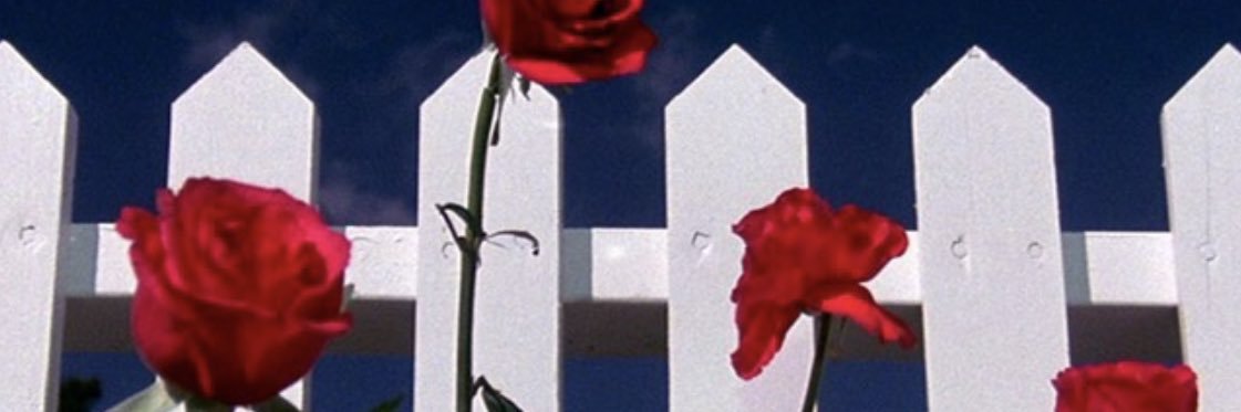 Elizabeth Viggiano banner