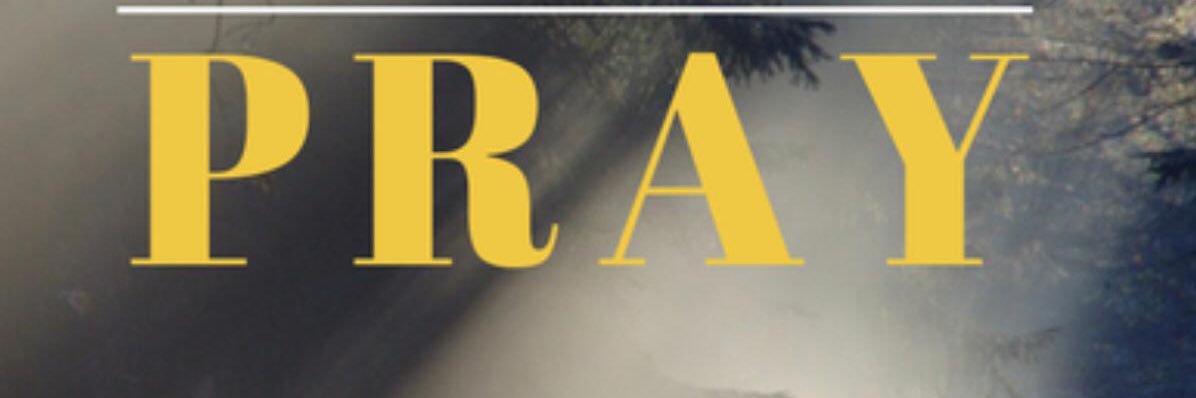 __TSJ's profile banner image