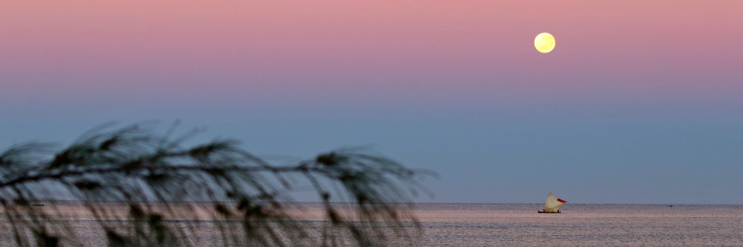 Cornnny__'s profile banner image