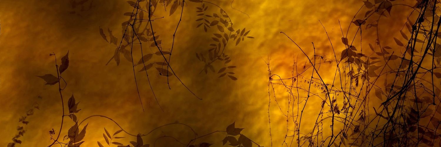 wjanousek64's profile banner image