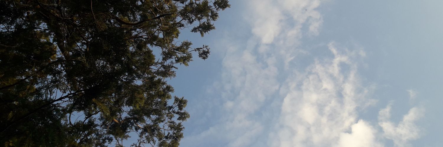 pattitthoo's profile banner image