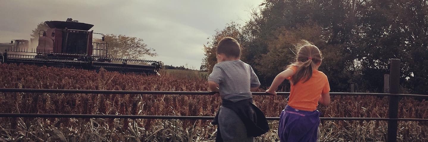 ashsieker's profile banner image