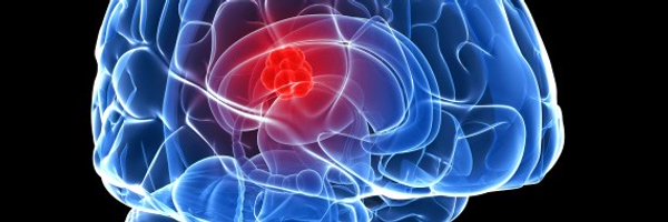 LucyFStead Profile Banner