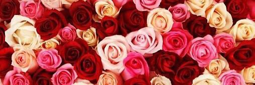 k_1124t's profile banner image