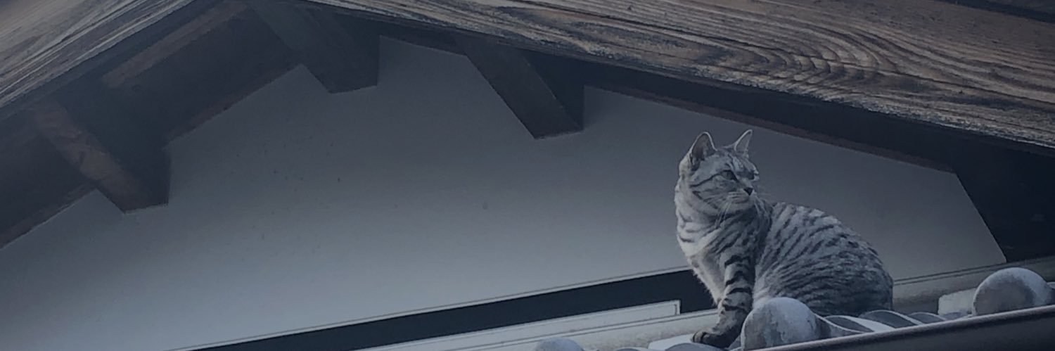Klesha801's profile banner image