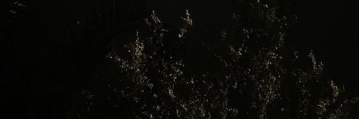 5Hom2662's profile banner image