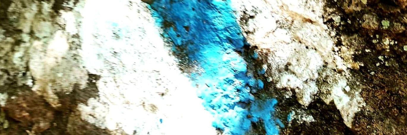 dvirnet's profile banner image