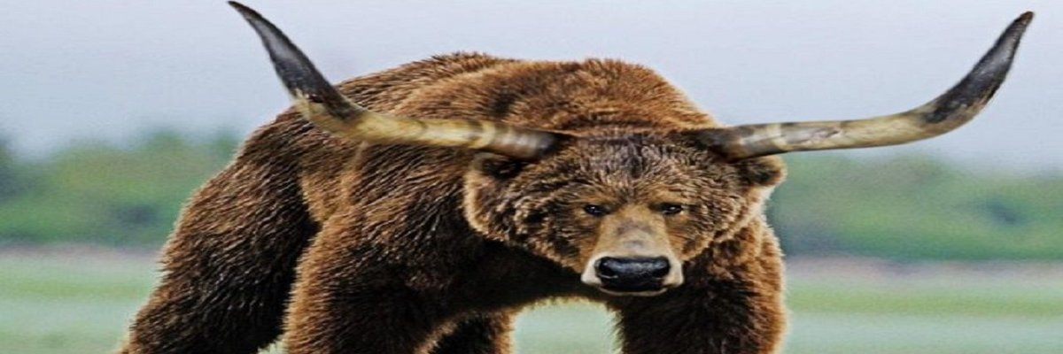 TF_03Doge's profile banner image