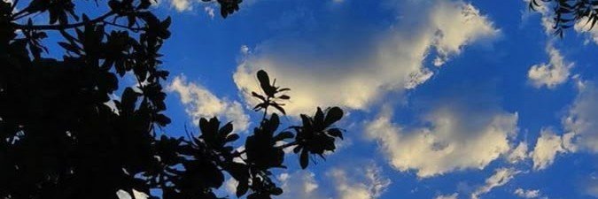 franklinsaeter1's profile banner image