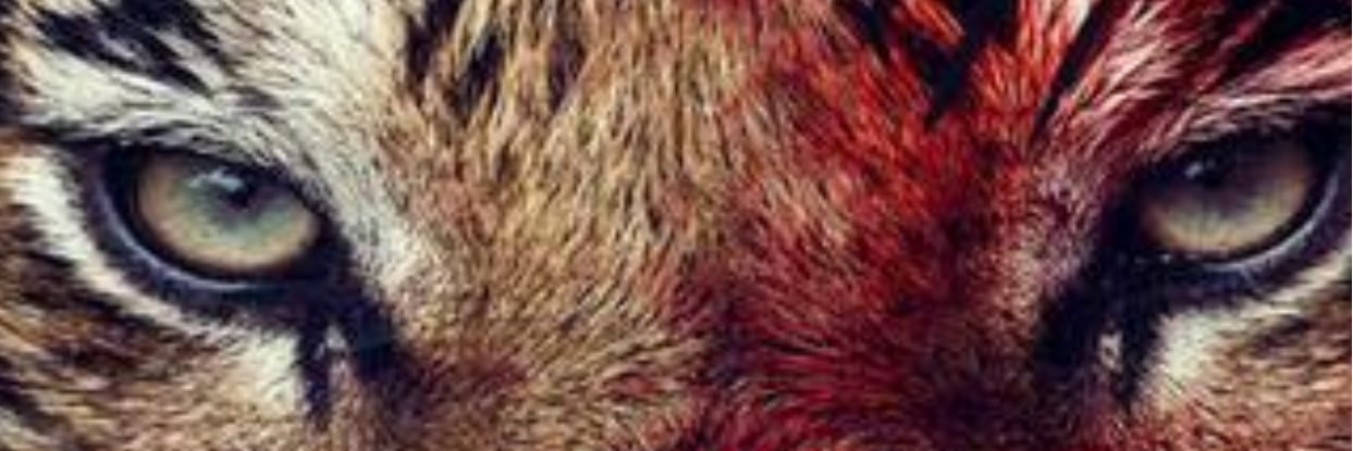 jorgebfc86's profile banner image
