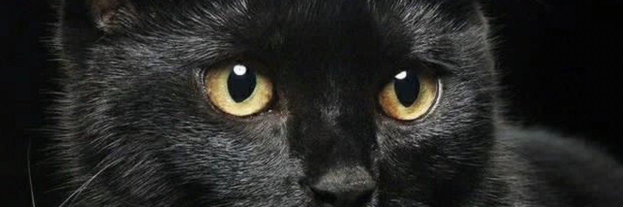 javaheriyan070's profile banner image