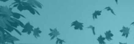 AzamLeslie's profile banner image