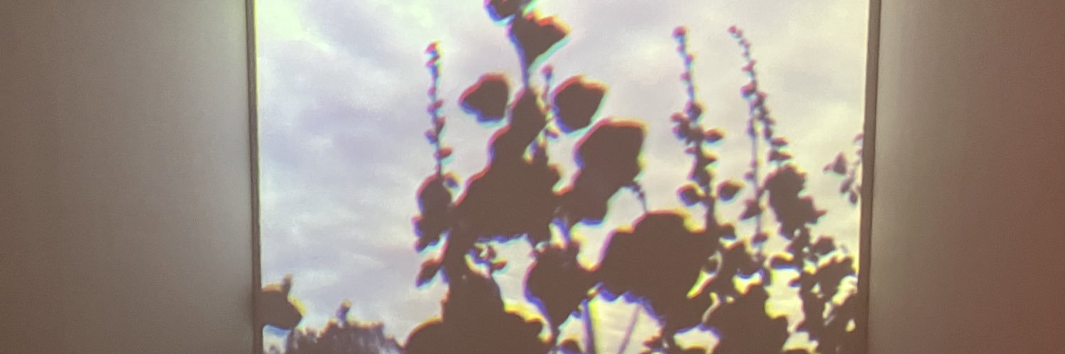 maylinvo's profile banner image