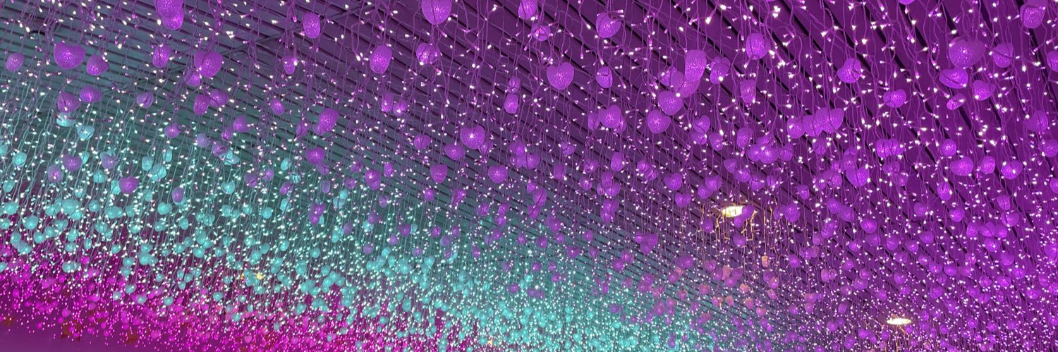 SC19930613's profile banner image