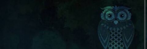 kingjanetheBoi's profile banner image