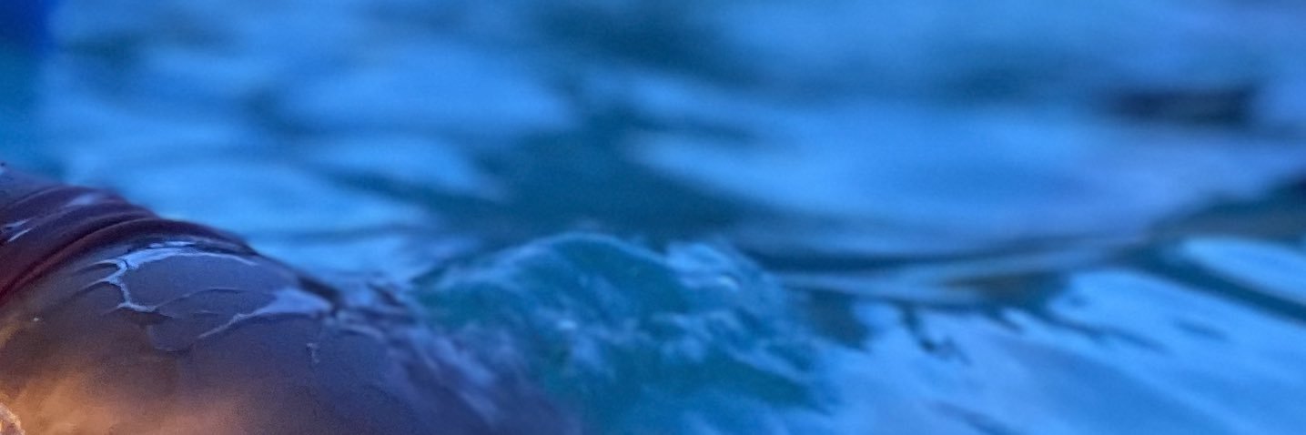 EFlores___'s profile banner image