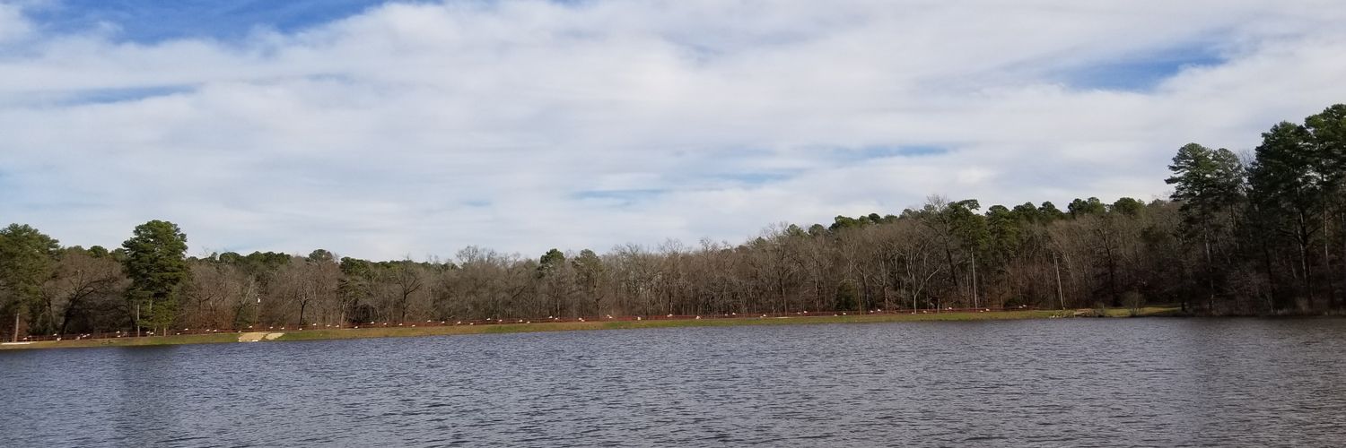 NateFlor23's profile banner image