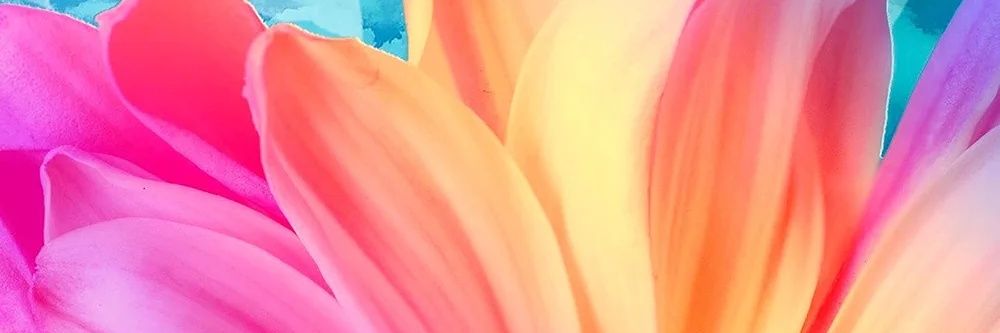 Fit2bejustme's profile banner image