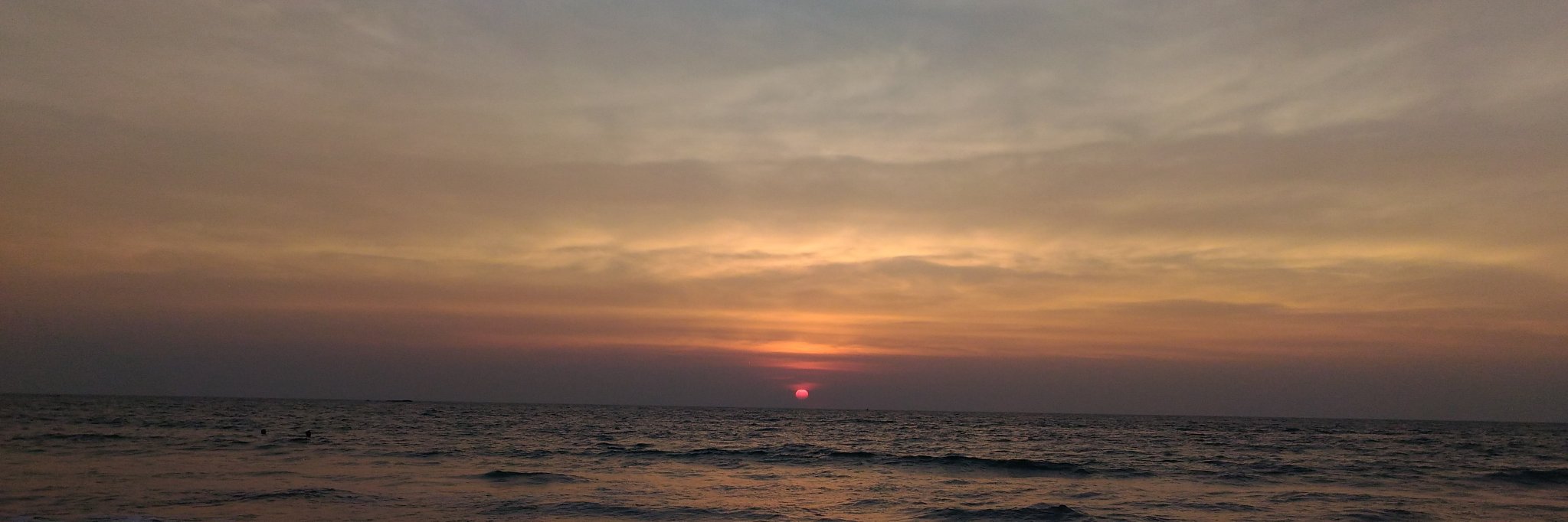 Thyagarajulu Gollapalli banner