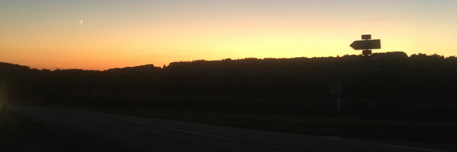 plum_clem's profile banner image