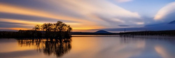 MsBlazic Profile Banner