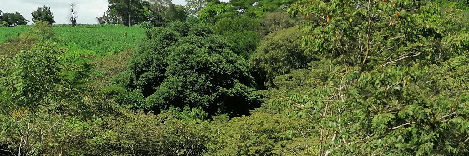Rocojr1016's profile banner image