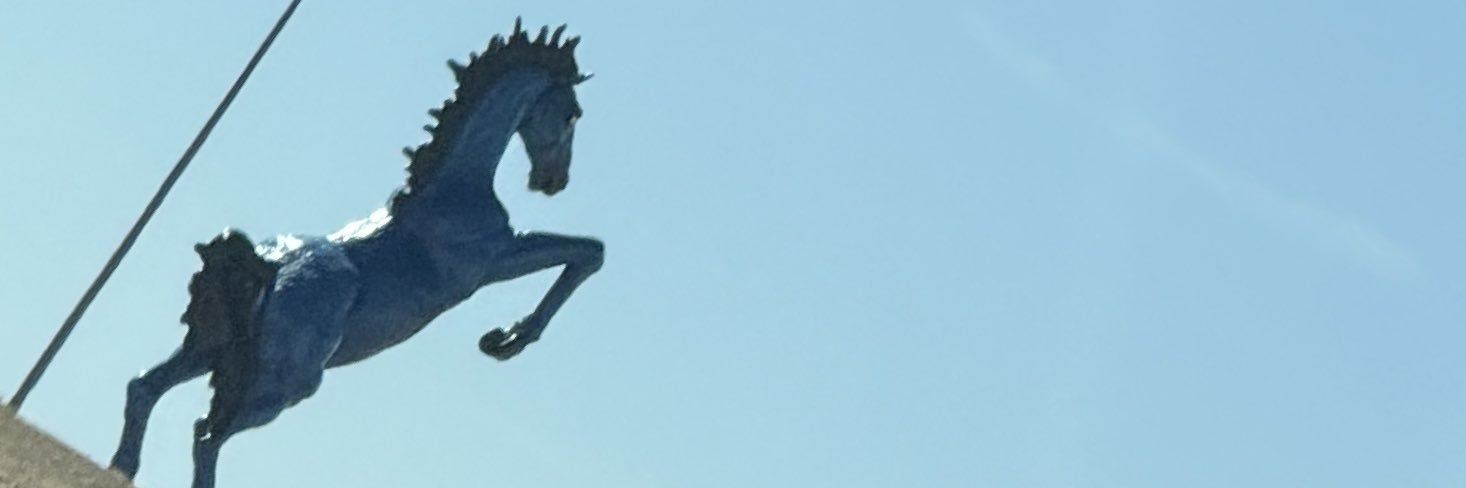 taylorossk's profile banner image