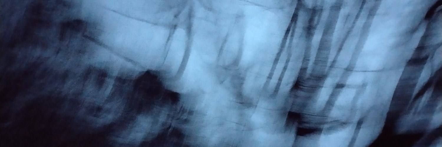 bellatward's profile banner image