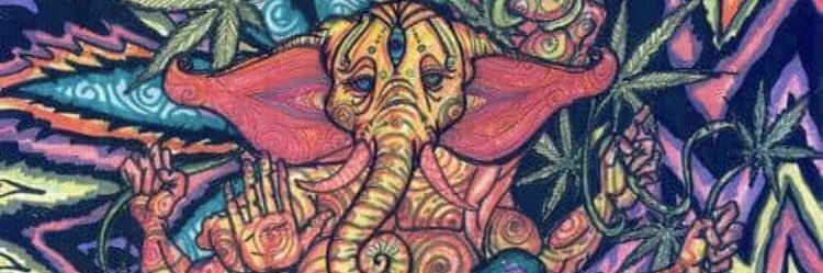 toreesmiff's profile banner image